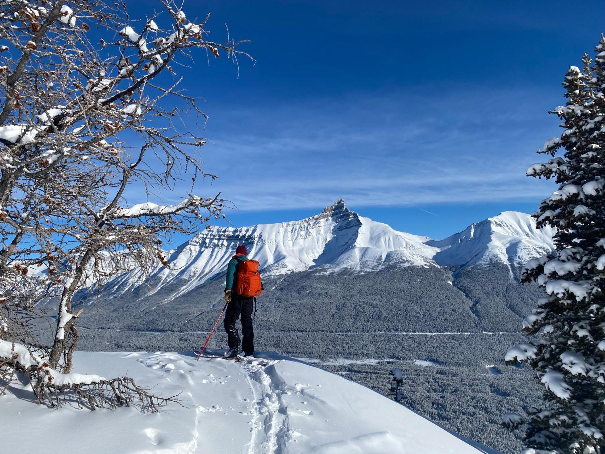 The Lodge At Bow Lake 레이크루이스 외부 사진