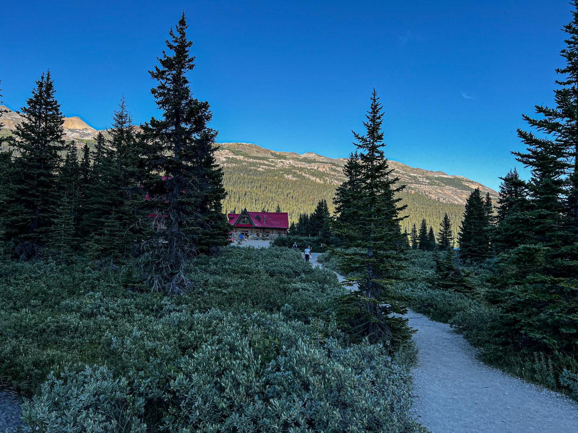 The Lodge At Bow Lake 레이크루이스 외부 사진