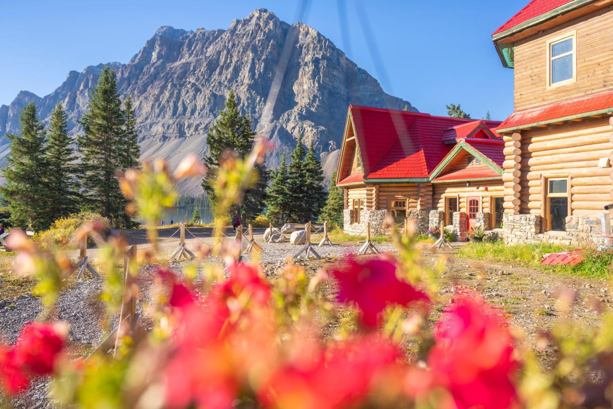 The Lodge At Bow Lake 레이크루이스 외부 사진